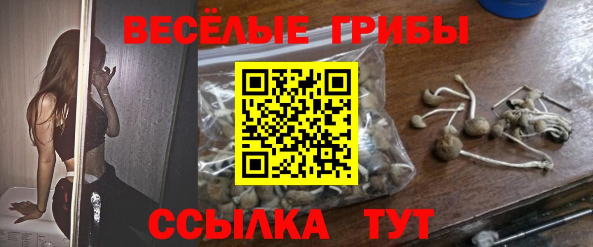 Псилоцибиновые грибы GOLDEN TEACHER Красноуфимск